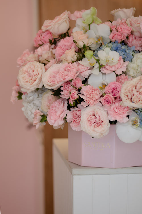 Blush & Blue
